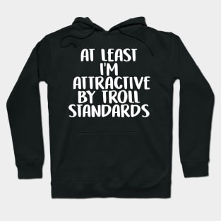 At Least I'm Attractive By Internet Troll Standards Hoodie